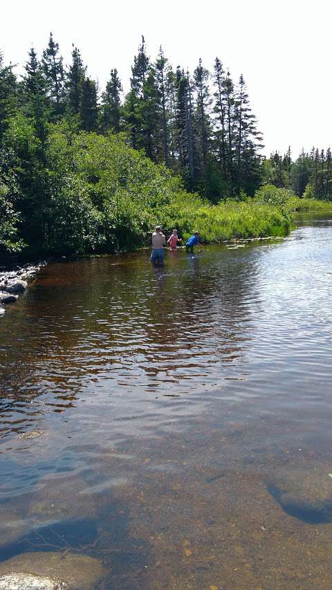 Black Brook Walking Trail & Park